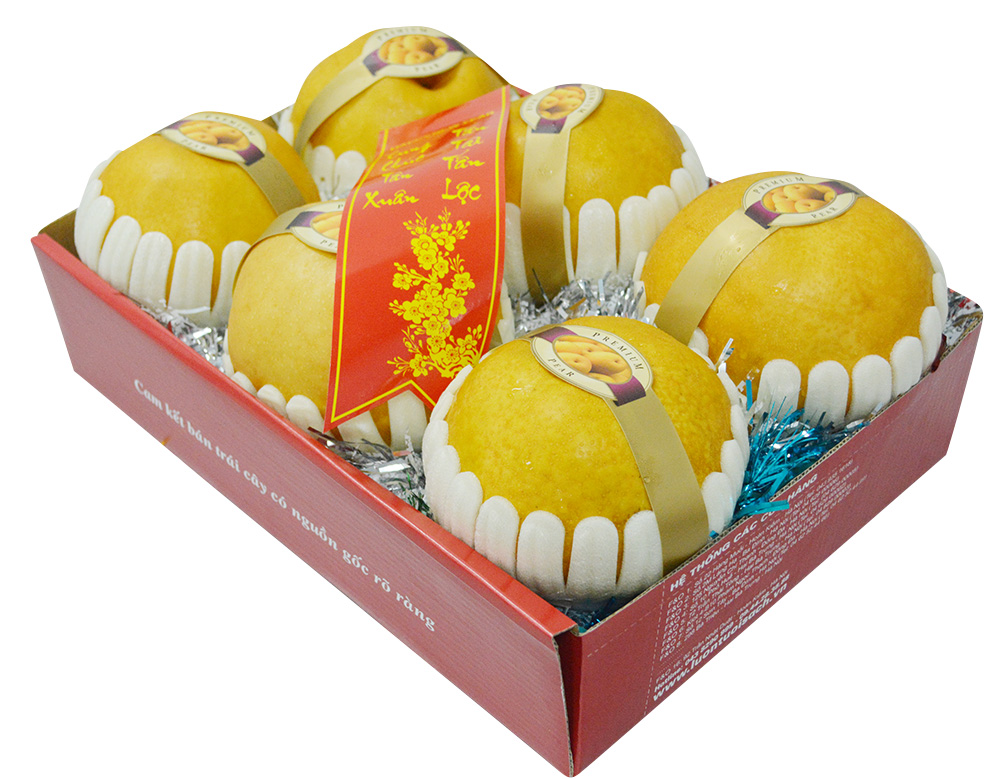 Hộp Lê Hàn Quốc