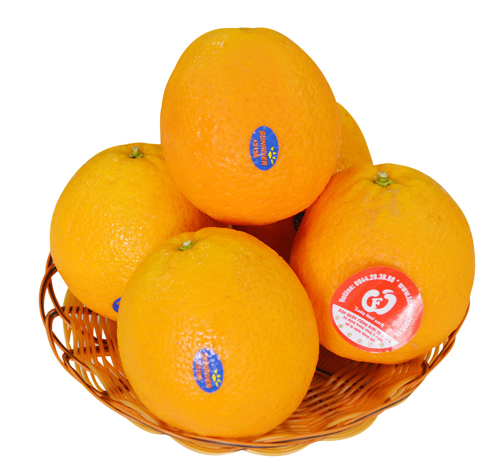 Cam Vàng Navel Nam Phi