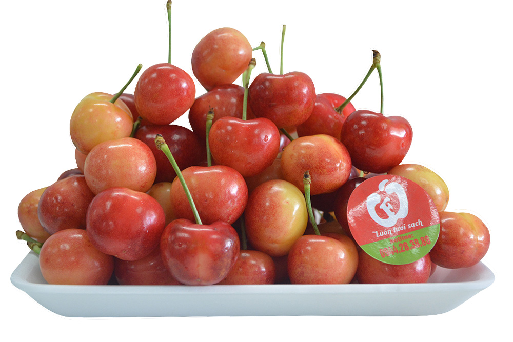 Cherry Vàng Mỹ