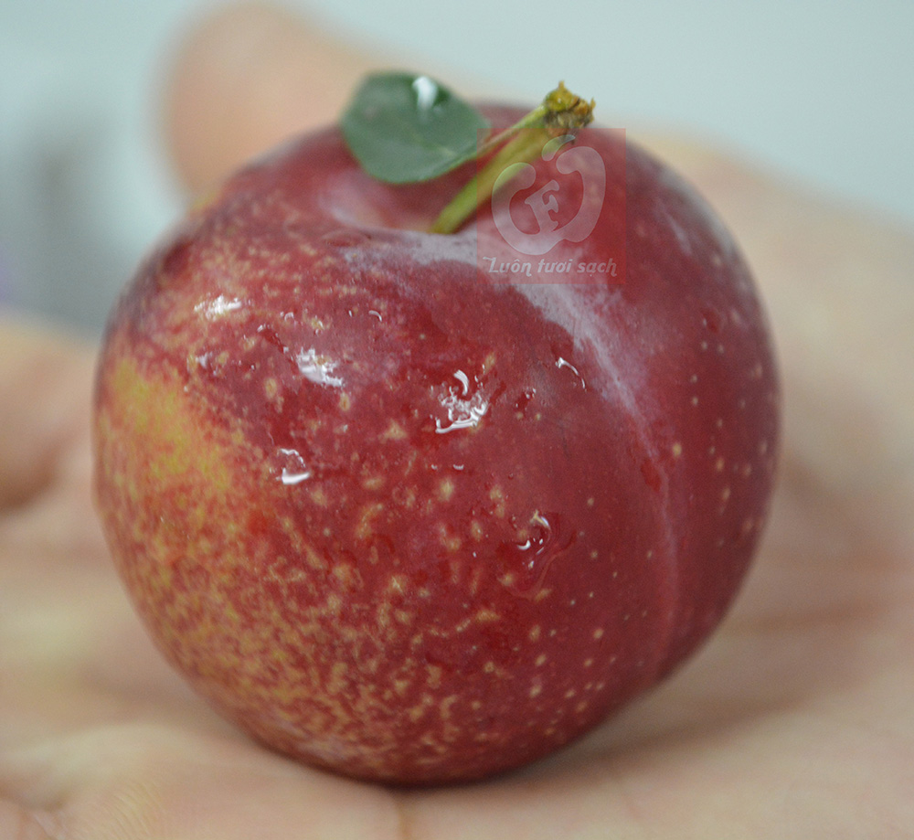 Mận Cherry