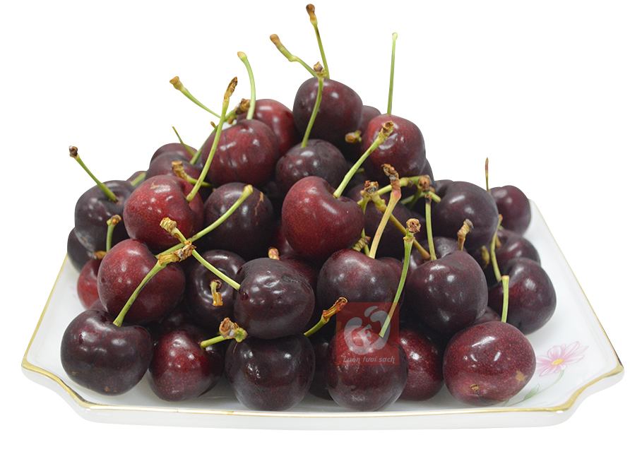 Cherry đỏ New Zealand