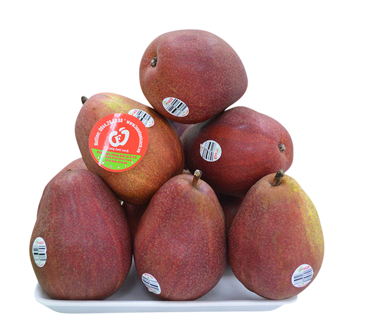 Lê đỏ Mỹ