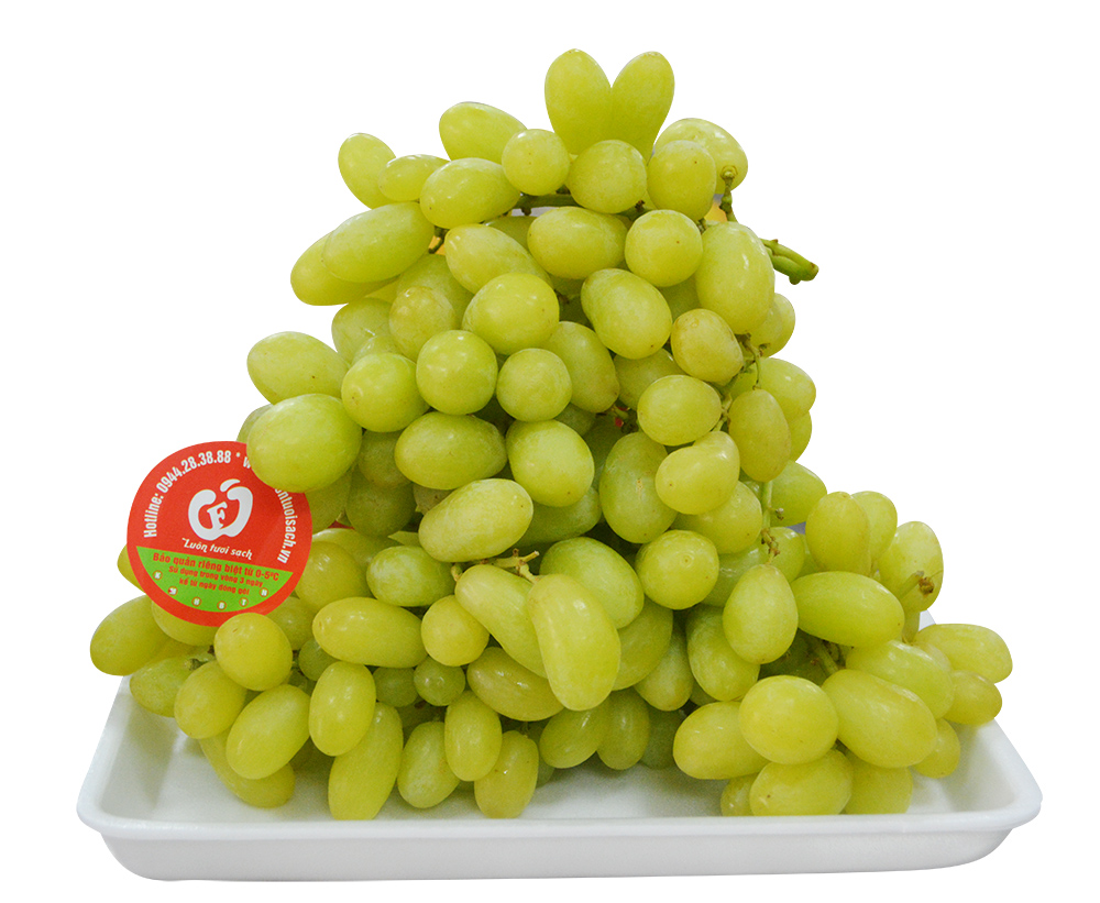 Nho xanh không hạt Thompson Úc