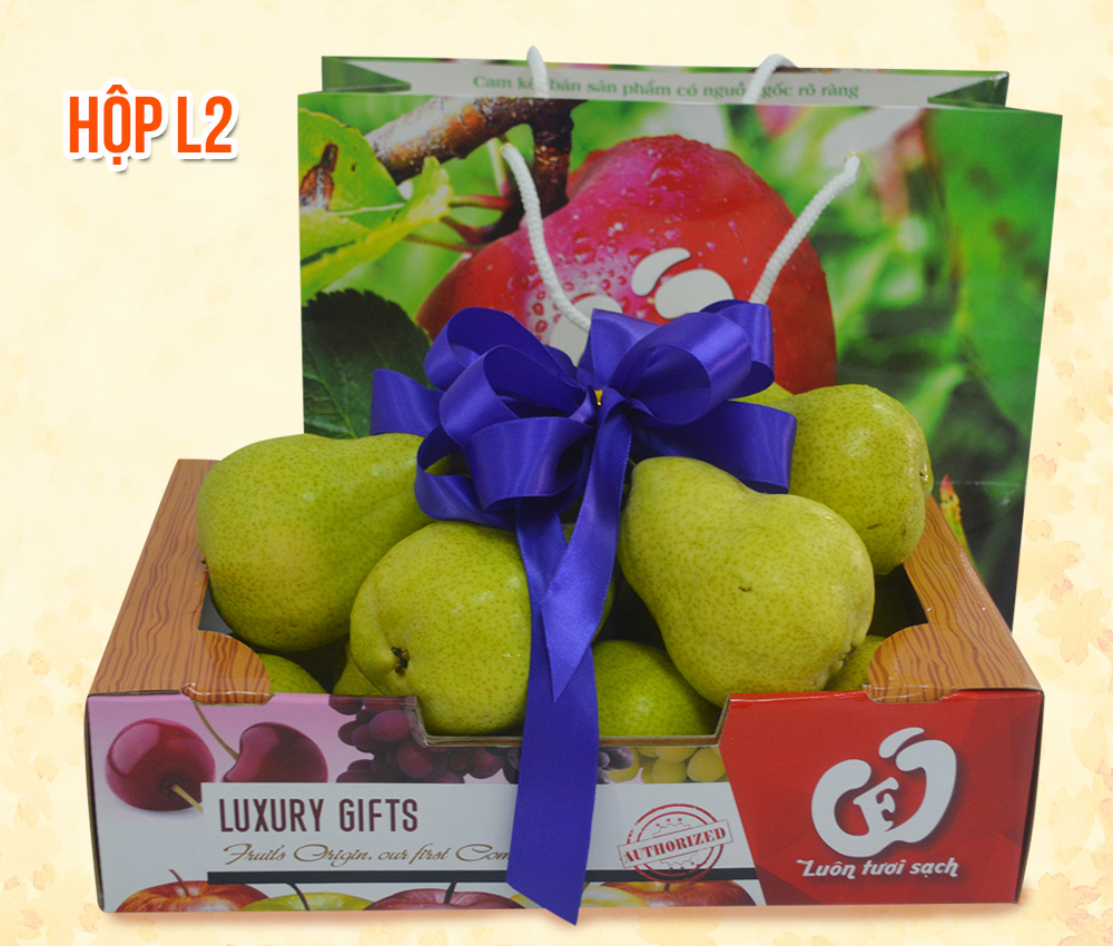 Hộp quà tặng L2