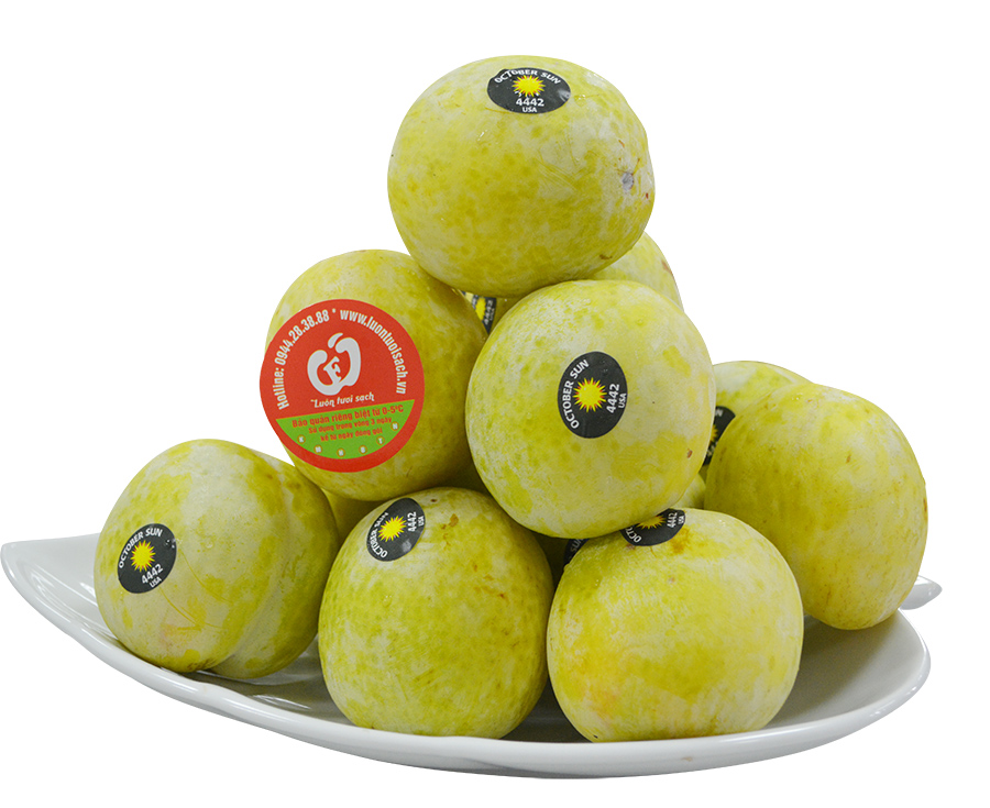 Mận Octorber Sun Mỹ
