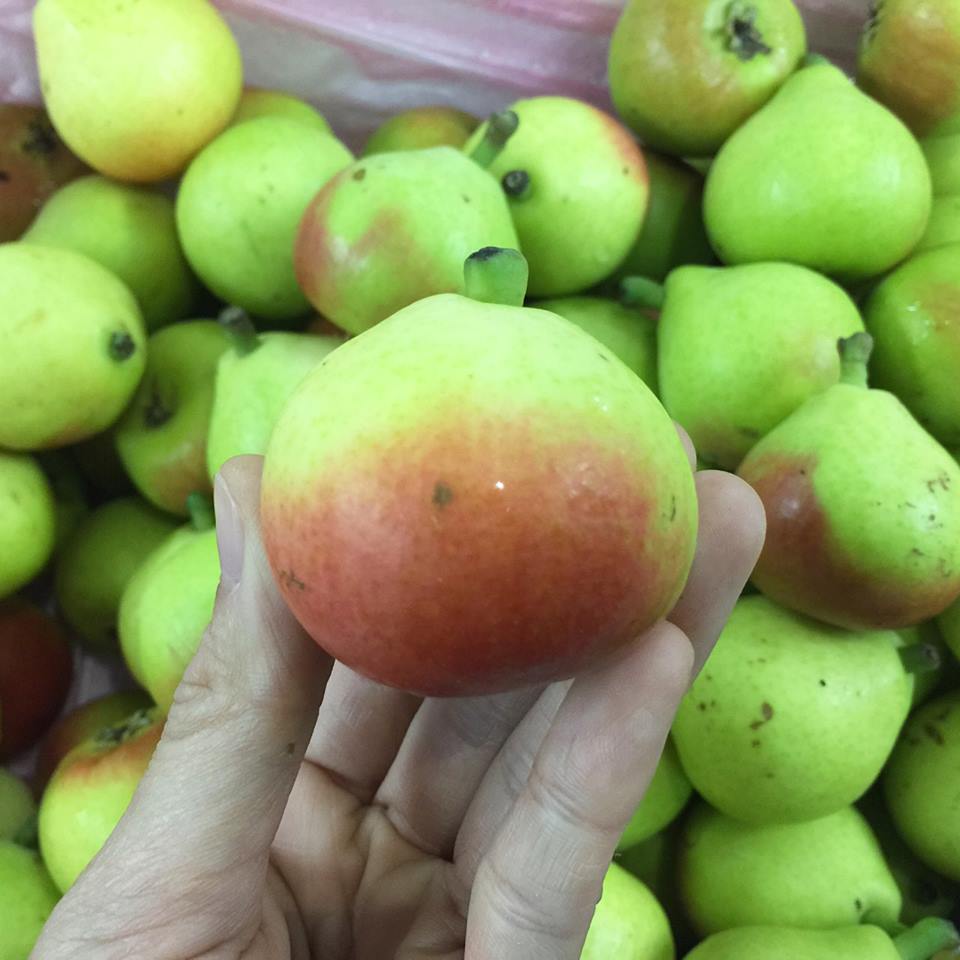 Lê Thiên Đường
