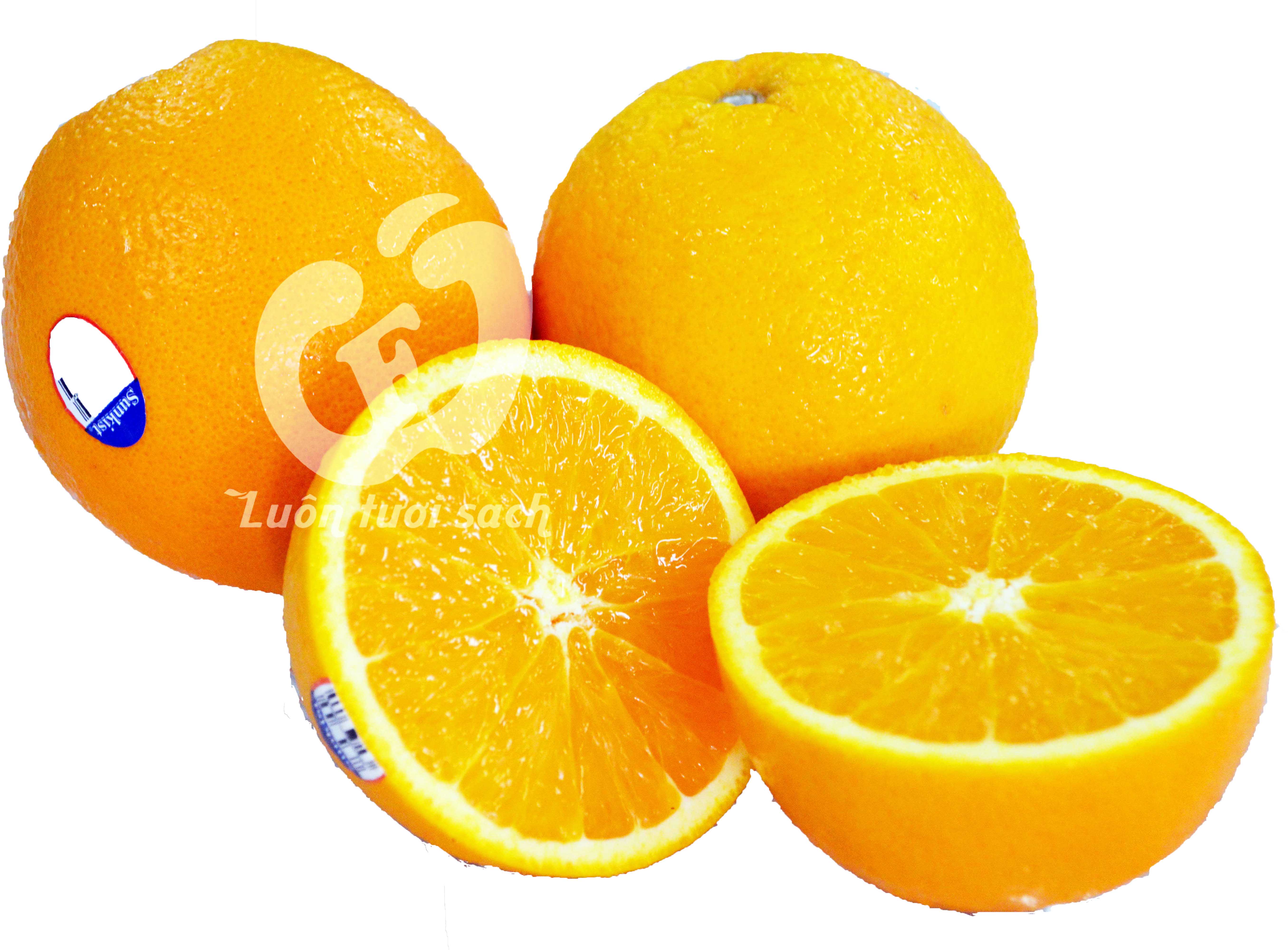 Cam vàng Sunkist Mỹ