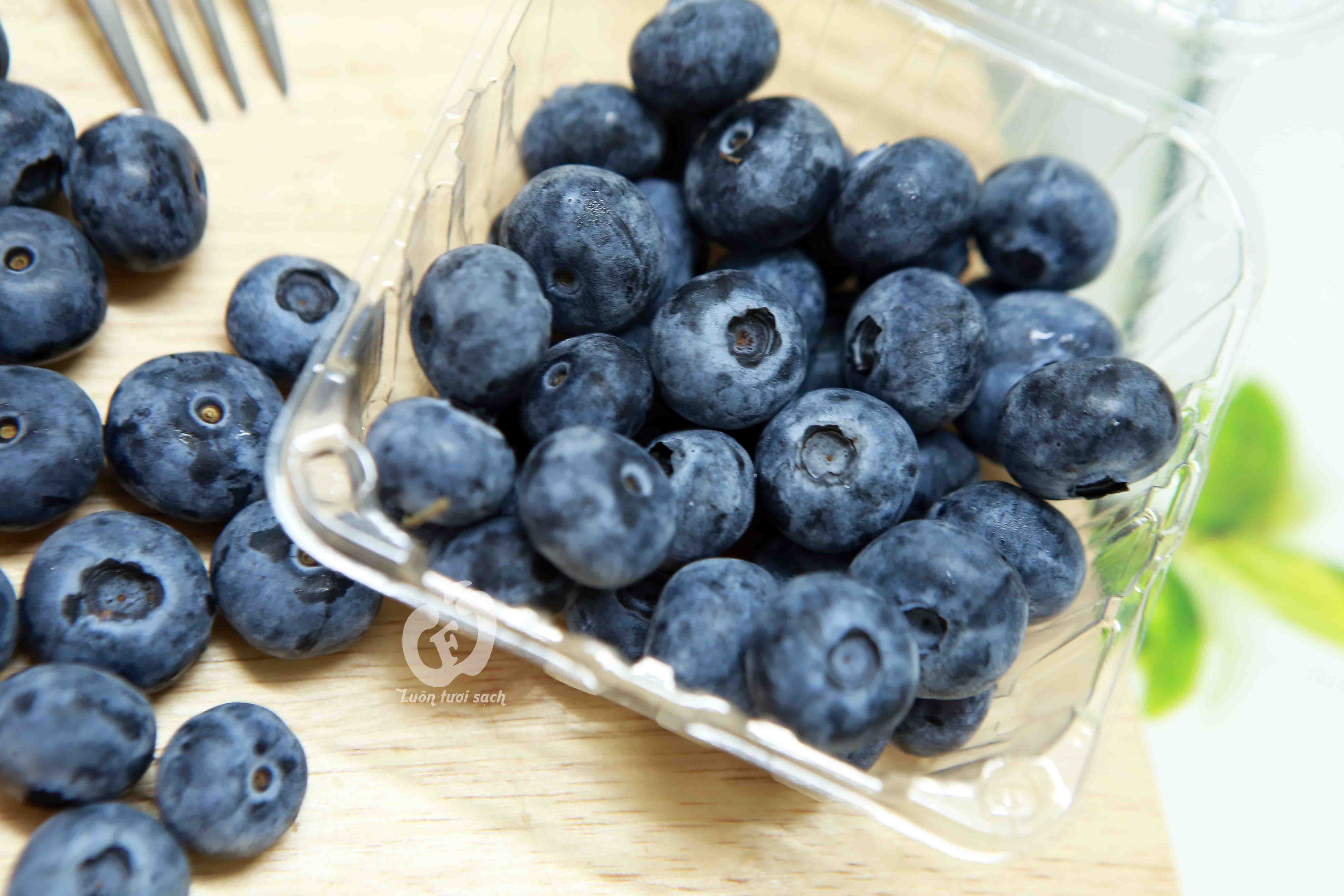 Việt Quất Organic