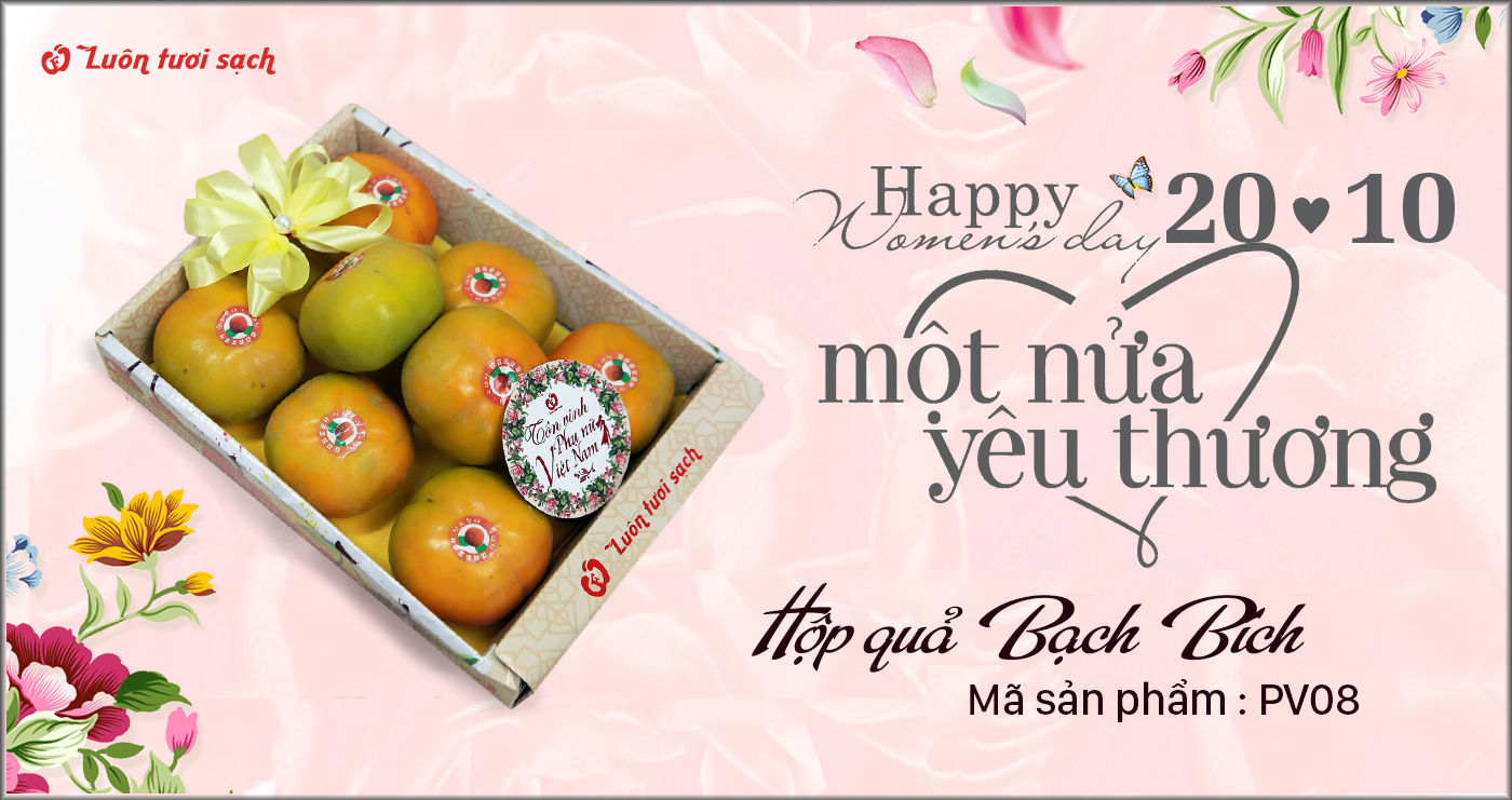 Hộp quà Bạch Bích