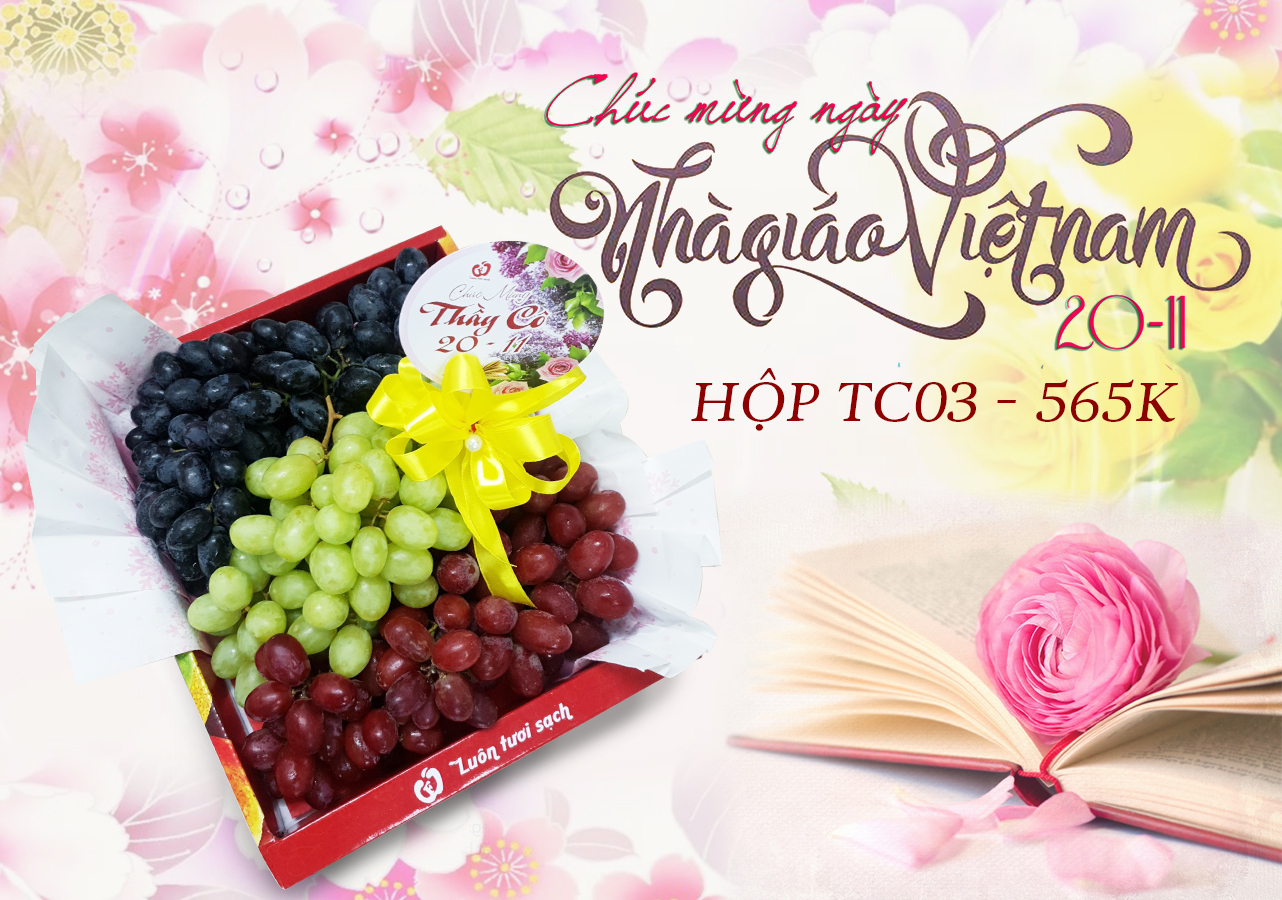 Hộp quà Tri ân Thầy cô TC03