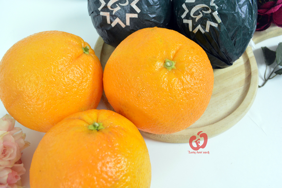 Cam ruột vàng Tây Ban Nha