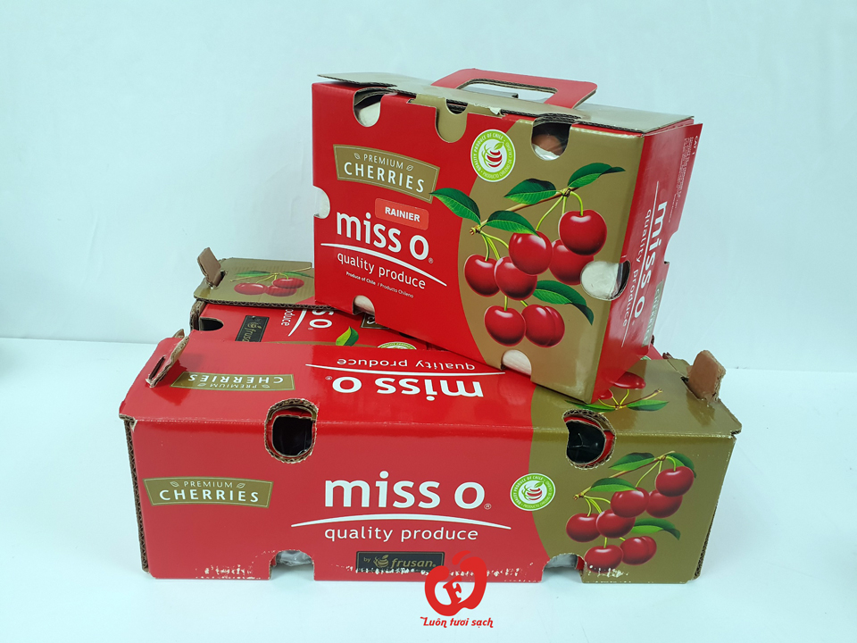 Cherry Vàng Miss O Chile hộp 2kg