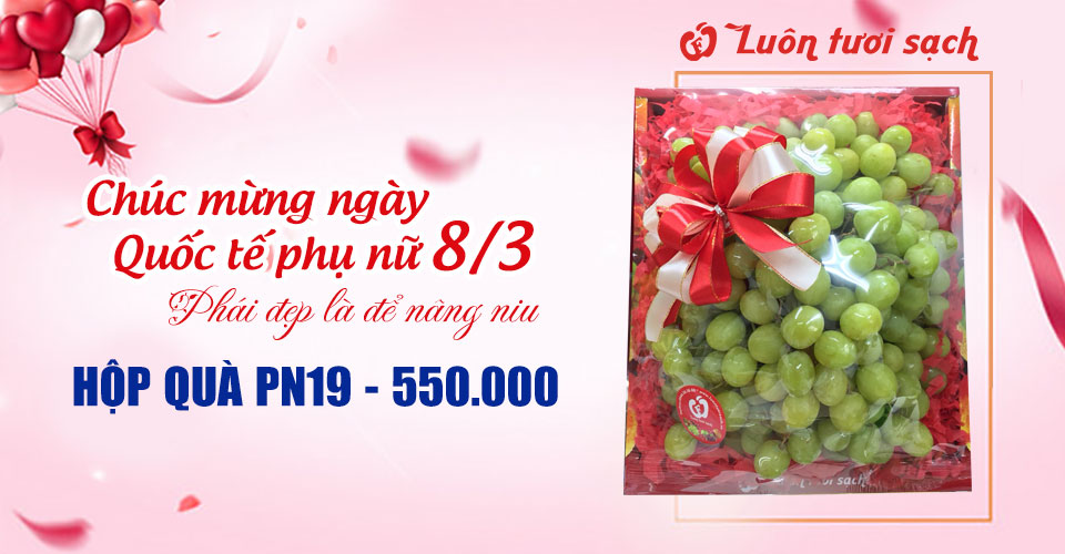 Hộp quà PN19