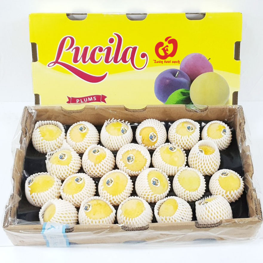 Mận Vàng Lucia