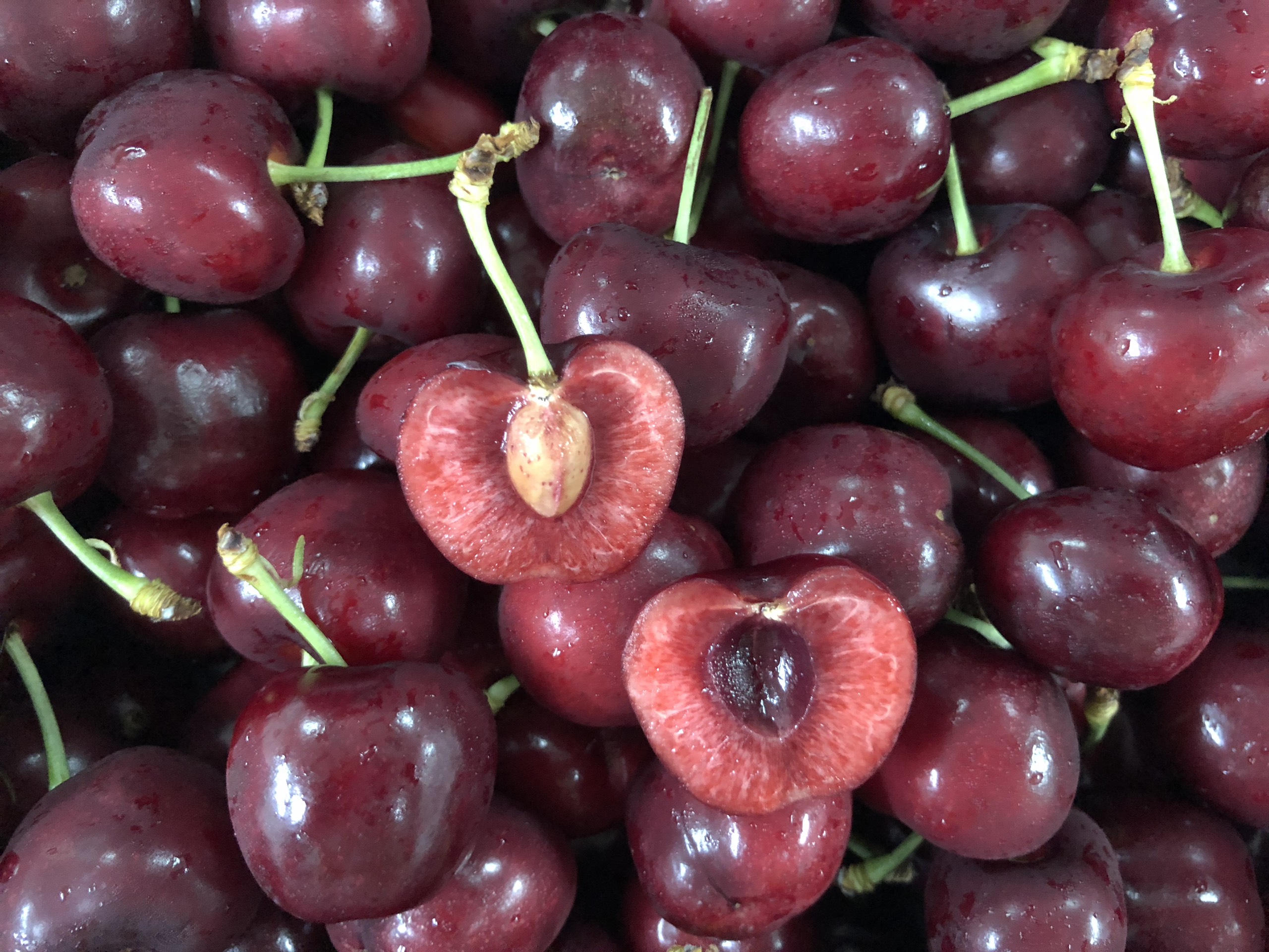 Cherry đỏ Mỹ