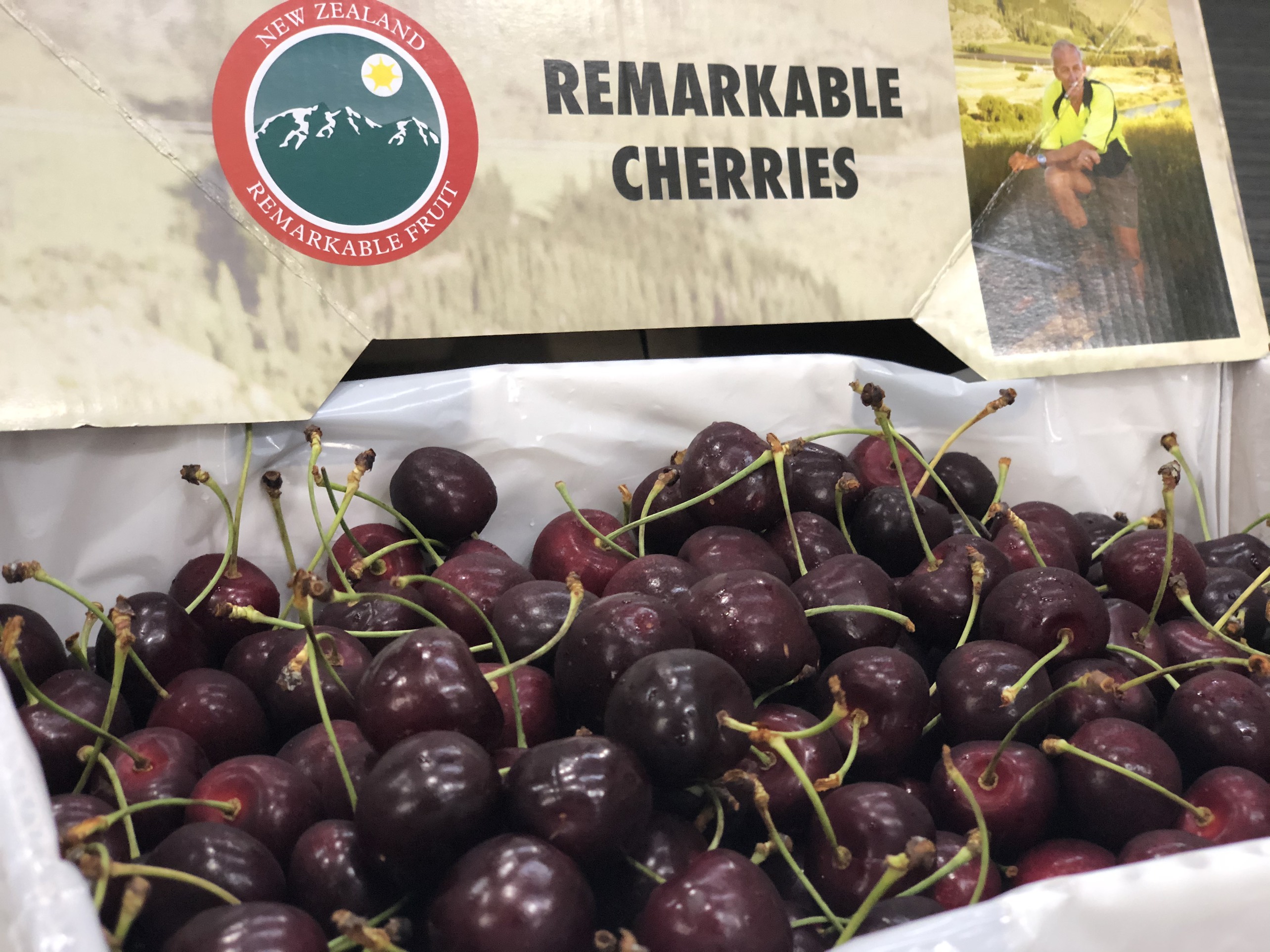 Cherry New Zealand