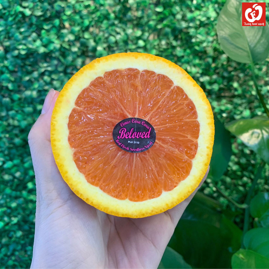 Cam Cara ruột đỏ Úc