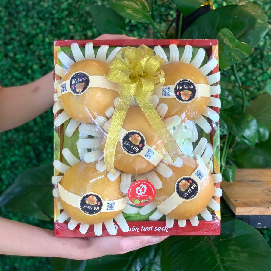 Hộp quà Lê Hàn Quốc