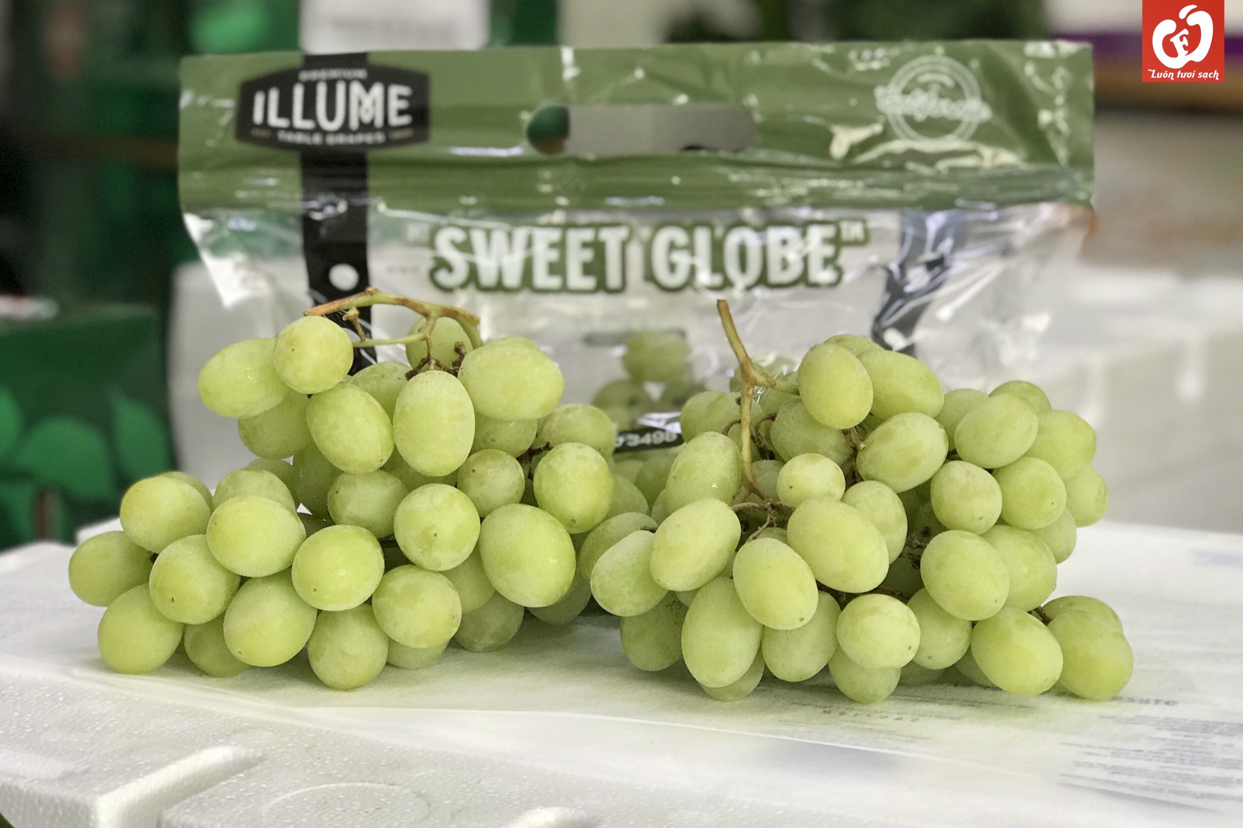 Nho xanh Sweet Globe Mỹ