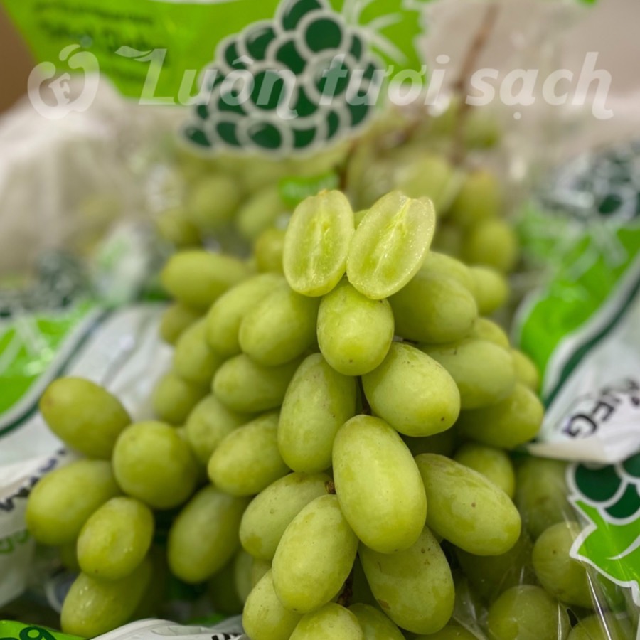 Nho Xanh Sweet Globe Peru