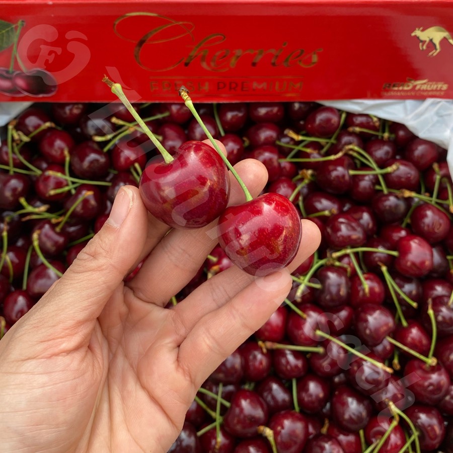Cherry Úc size 26-28