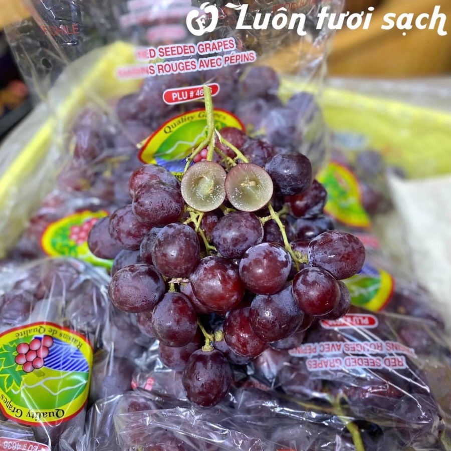 Nho đỏ có hạt Colina Chile