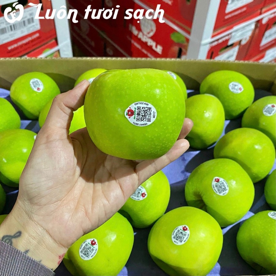 Táo xanh Granny Smith New Zealand