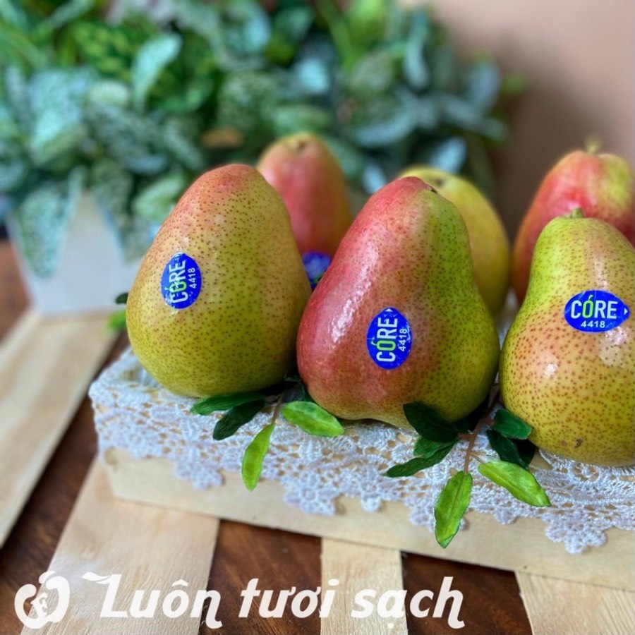 Lê Core Nam Phi