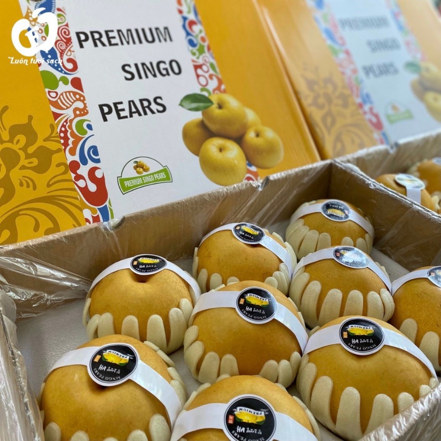 Lê Nâu Hàn Quốc thùng 5kg