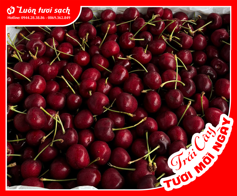 Nguyên thùng Cherry đỏ Mỹ 2,5kg