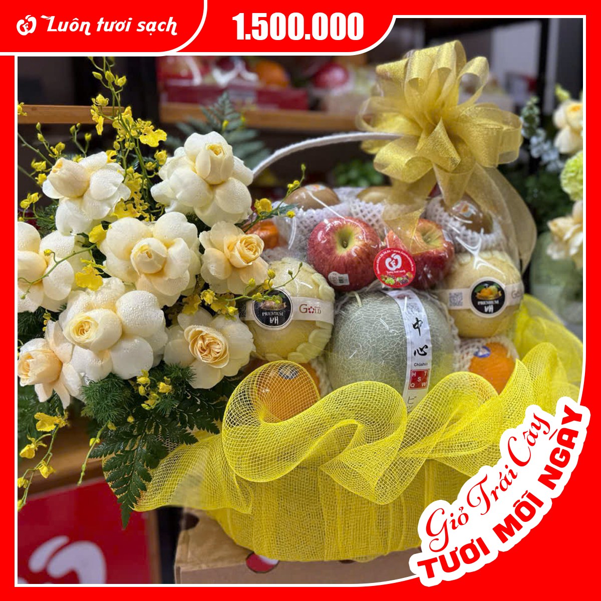 TC34 - Lẵng hoa quả cao cấp