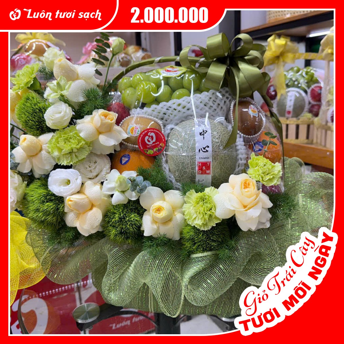 TC32 - Lẵng hoa quả cao cấp