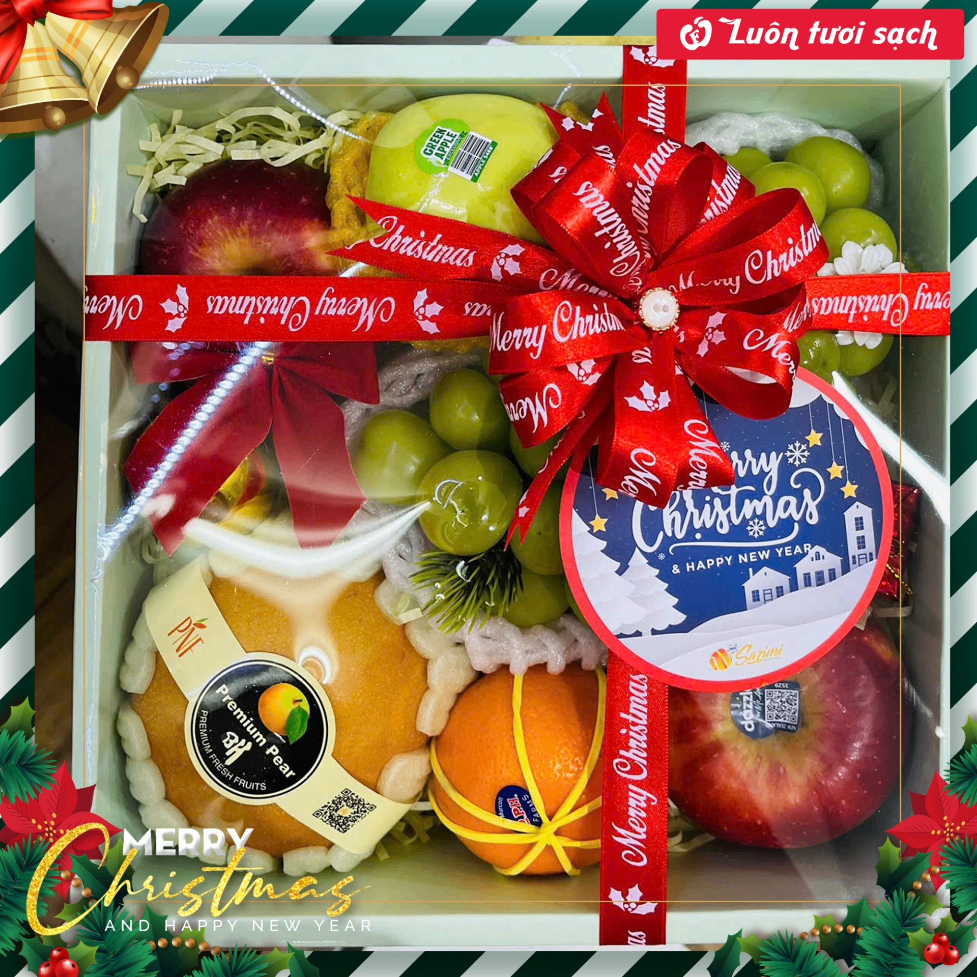 TC66 - Hộp quà hoa quả nhập khẩu