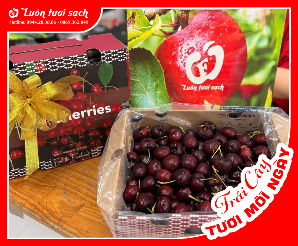 Hộp Cherry Fresh Chile 2.5kg