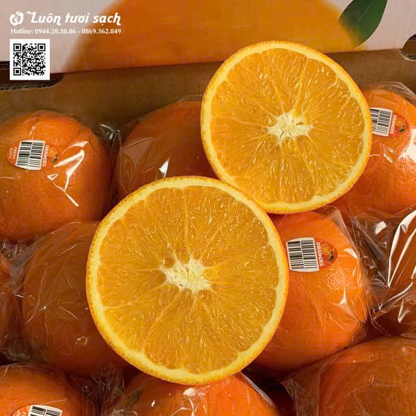 Cam ruột vàng China