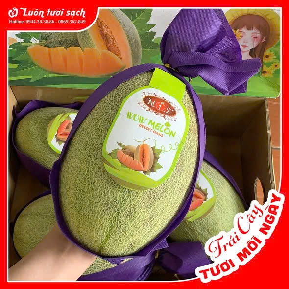 Dưa Melon Trung
