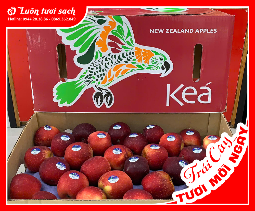 Nguyên Thùng táo Royal Gala NZ