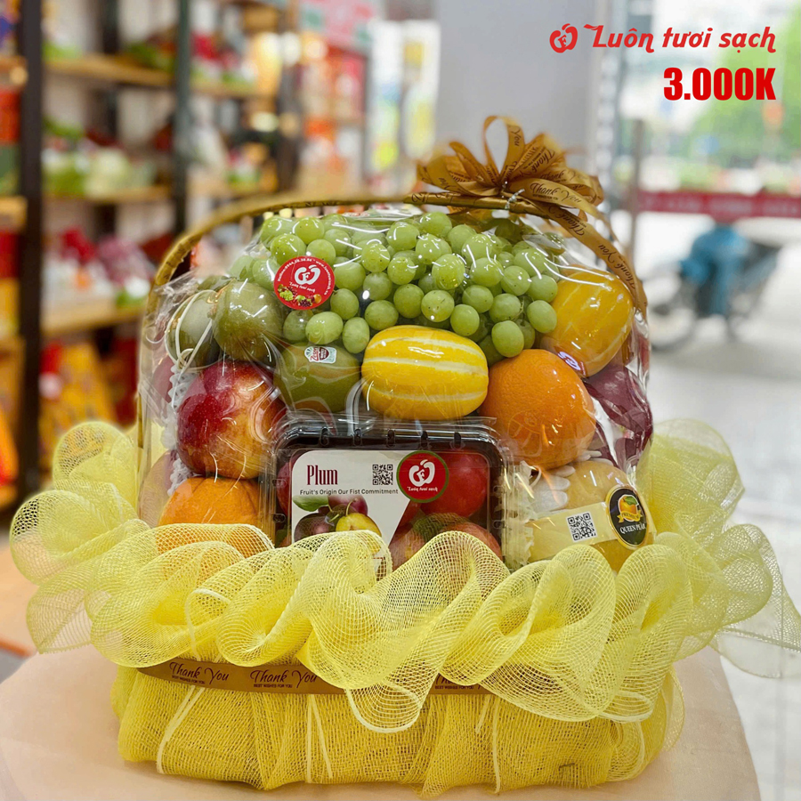 TC18 - Lẵng hoa quả cao cấp