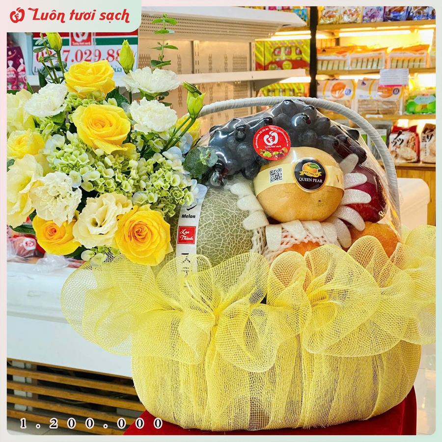 TC09 - Lẵng hoa quả cao cấp